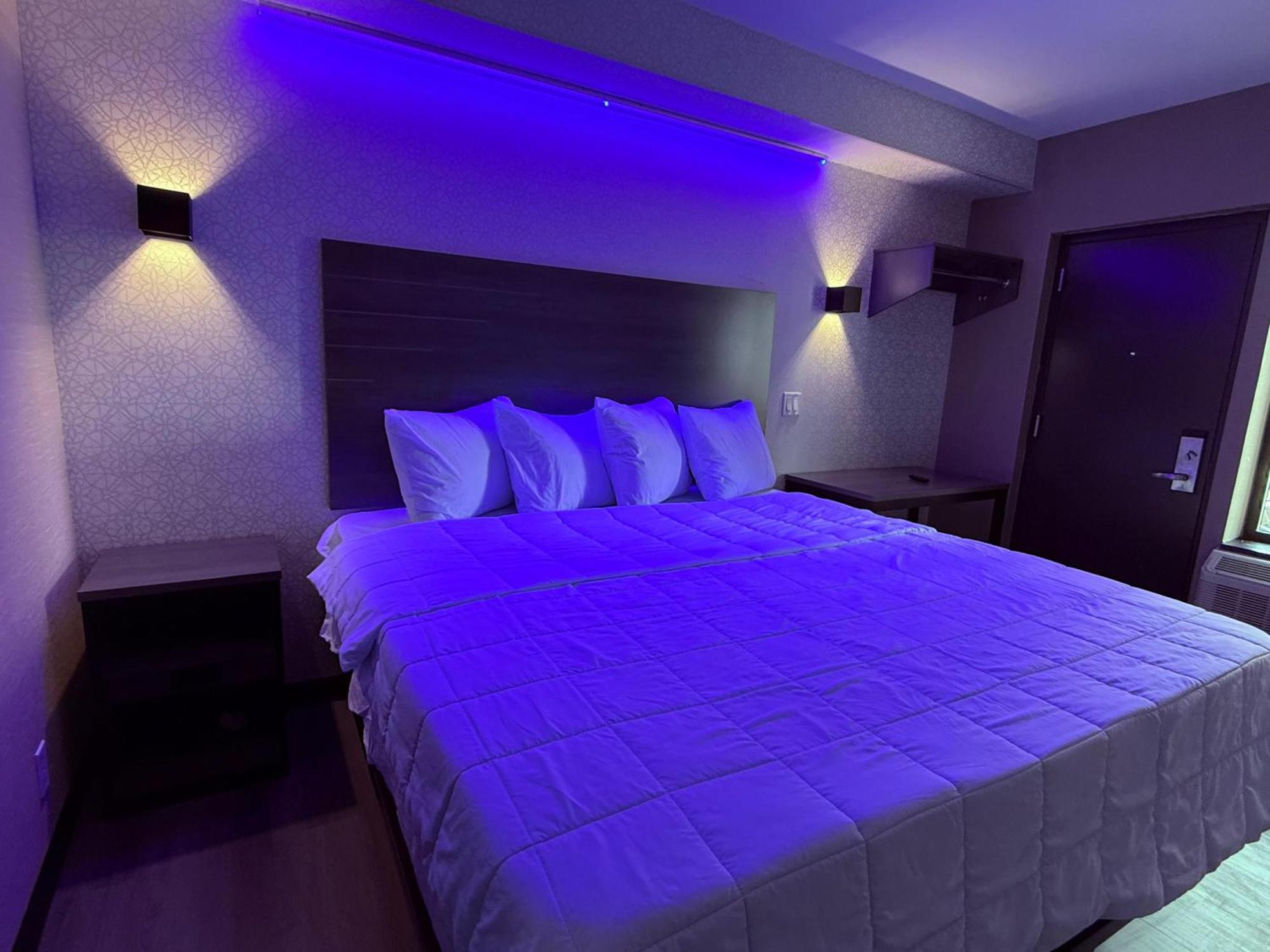 The Vine Bronx New New York