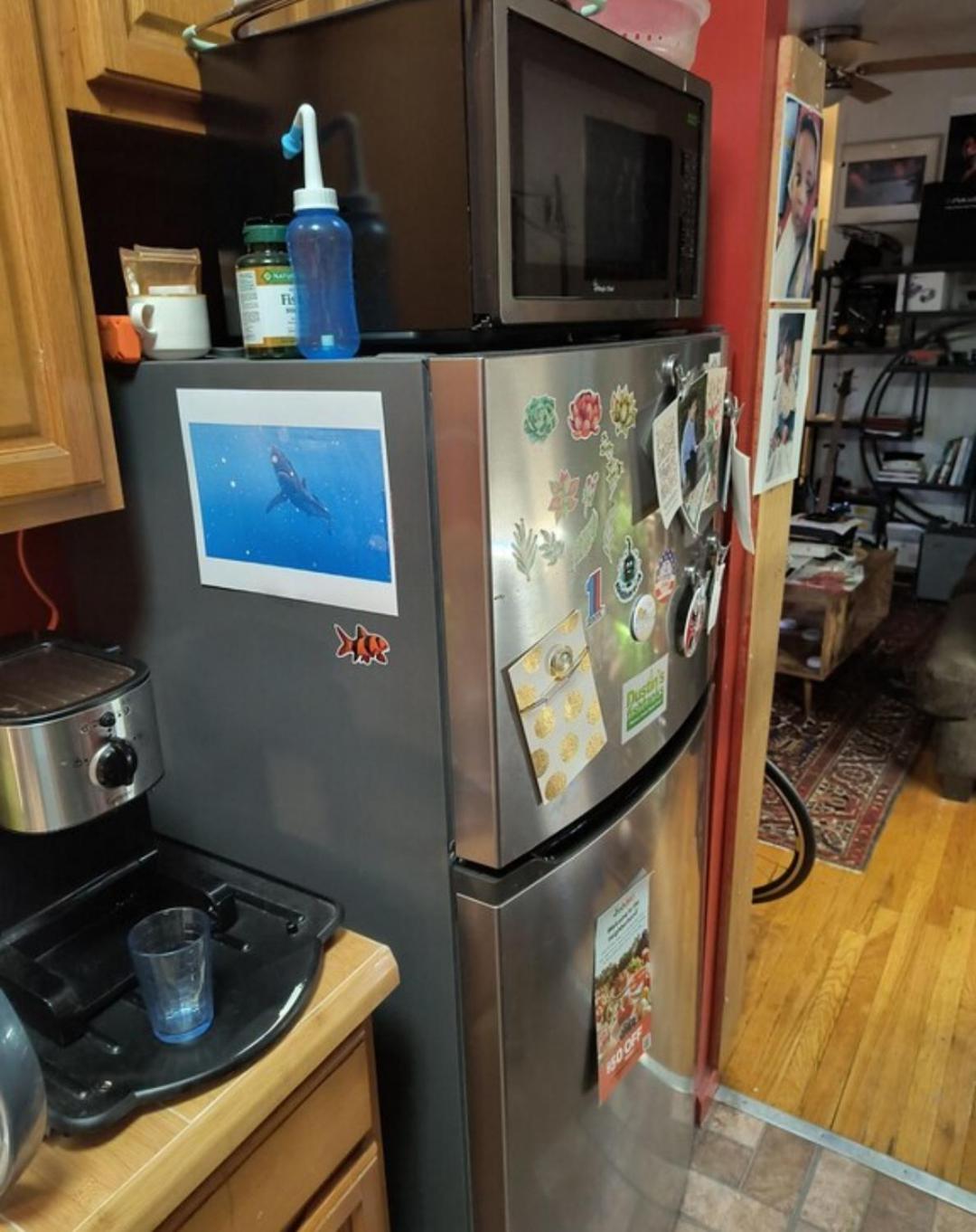 Homestay My New York