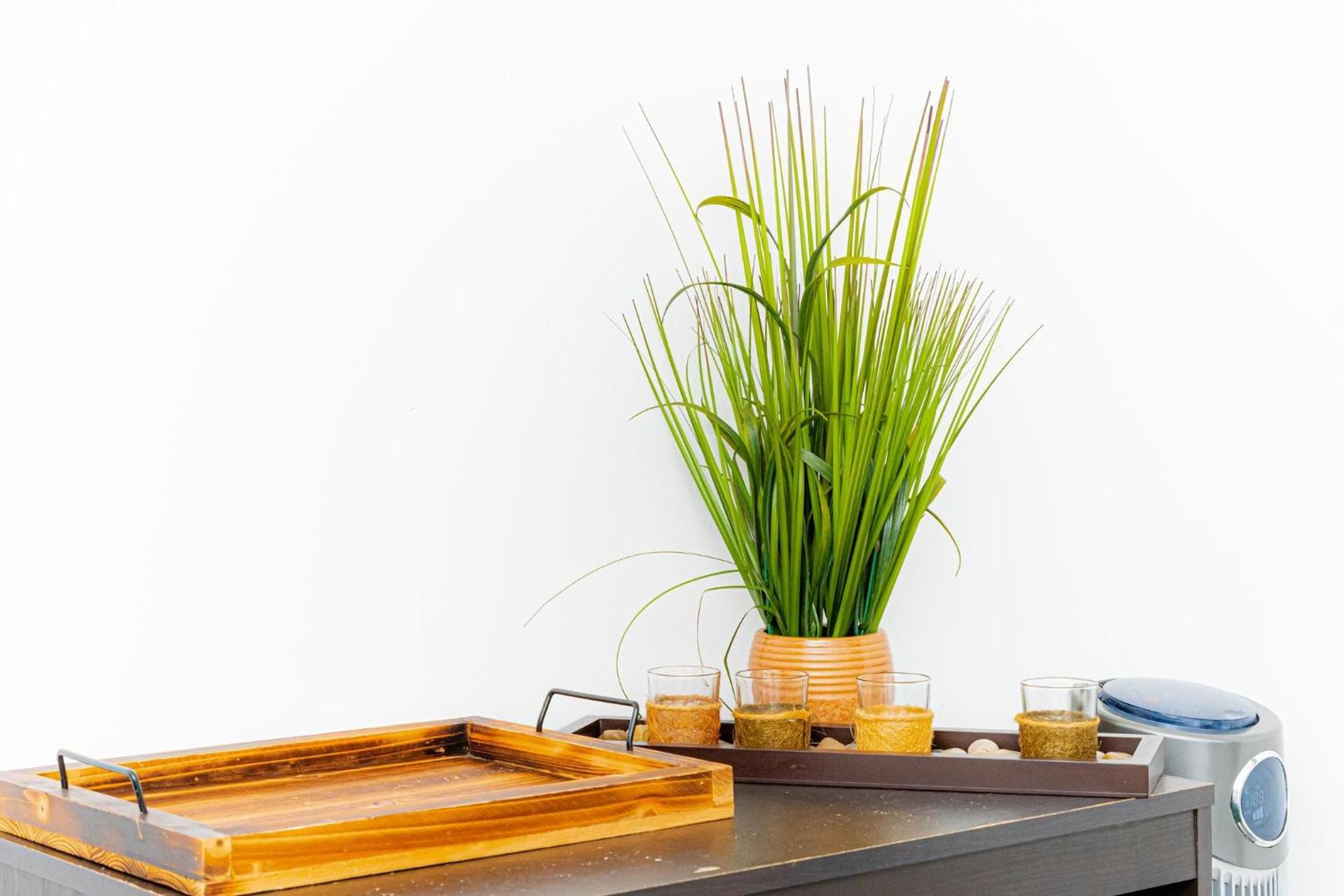 Apartment Luxury Oasis In The Heart Of Brooklyn *