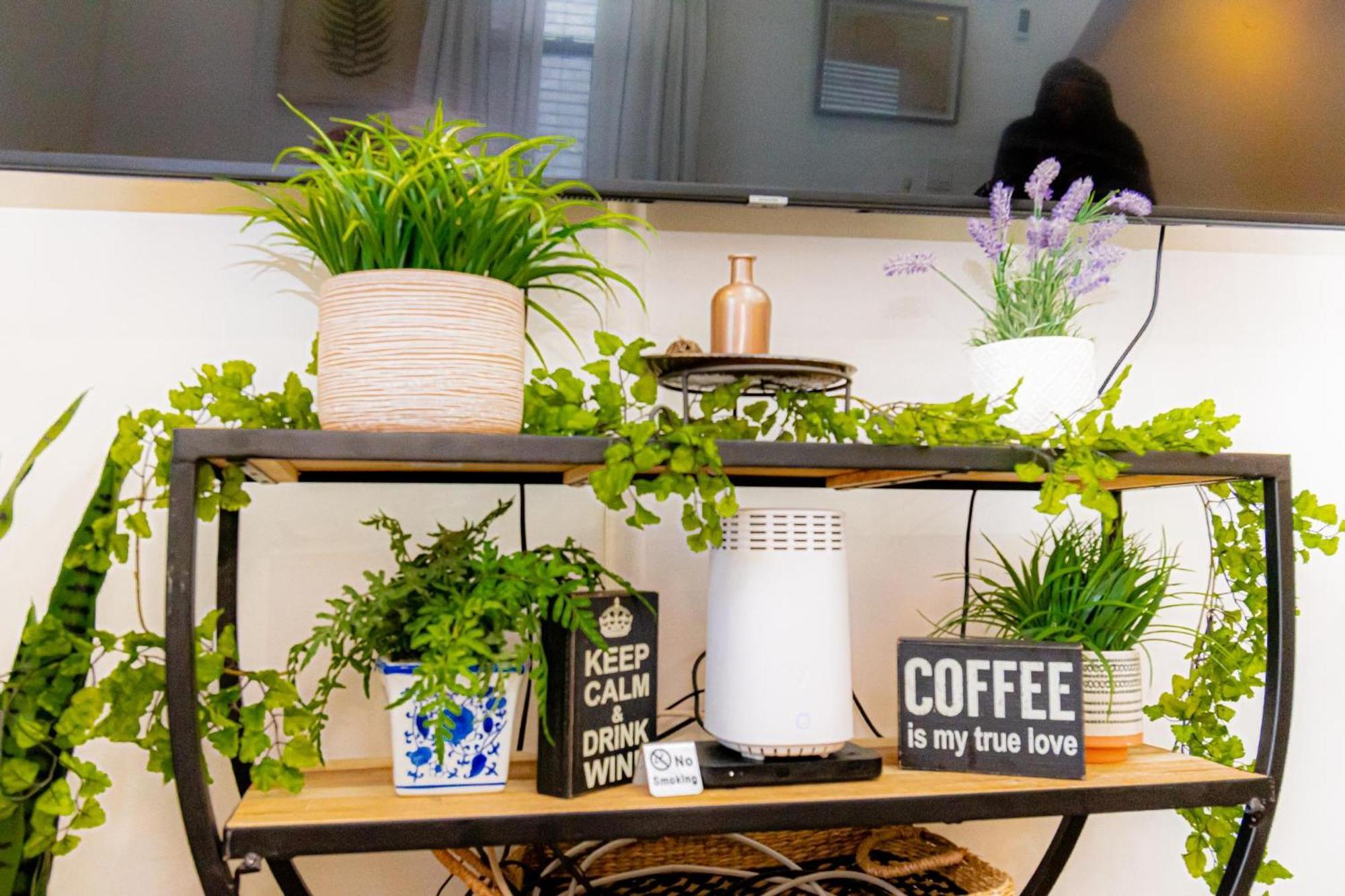 Apartment Luxury Oasis In The Heart Of Brooklyn New York