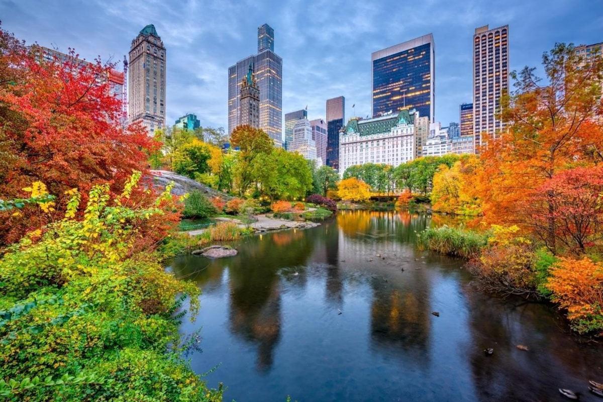 Your Nyc Escape! 1br Just Steps From Park Appartement
