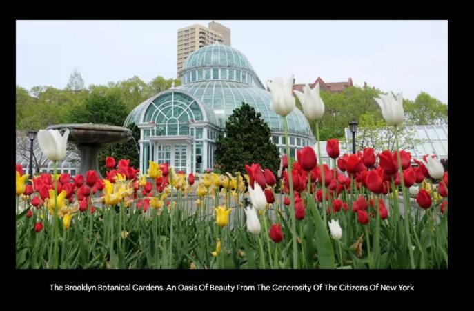 Funky Pre-war Town House