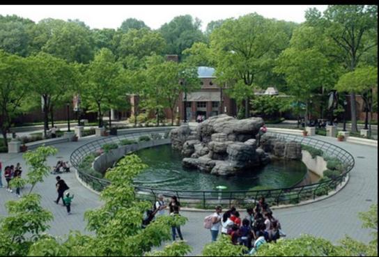 Funky Pre-war Town House Apartment