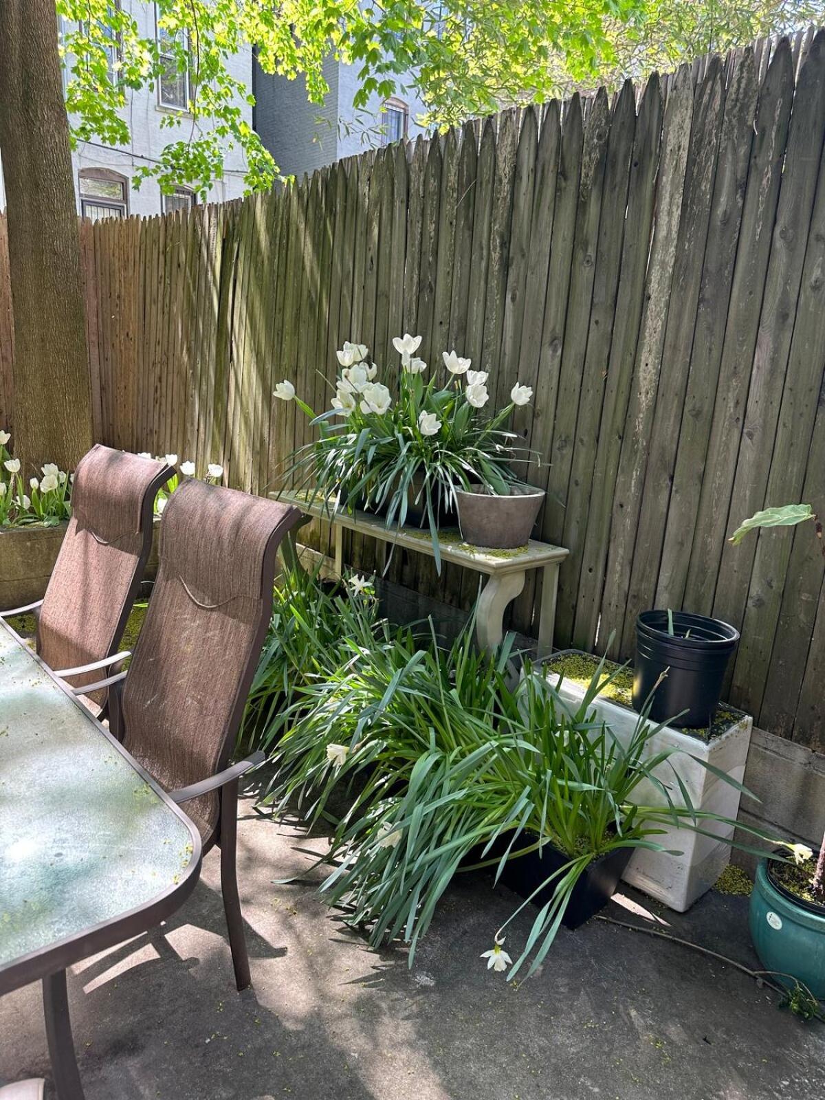 Guest house Private Bedroom And Private Bath New York