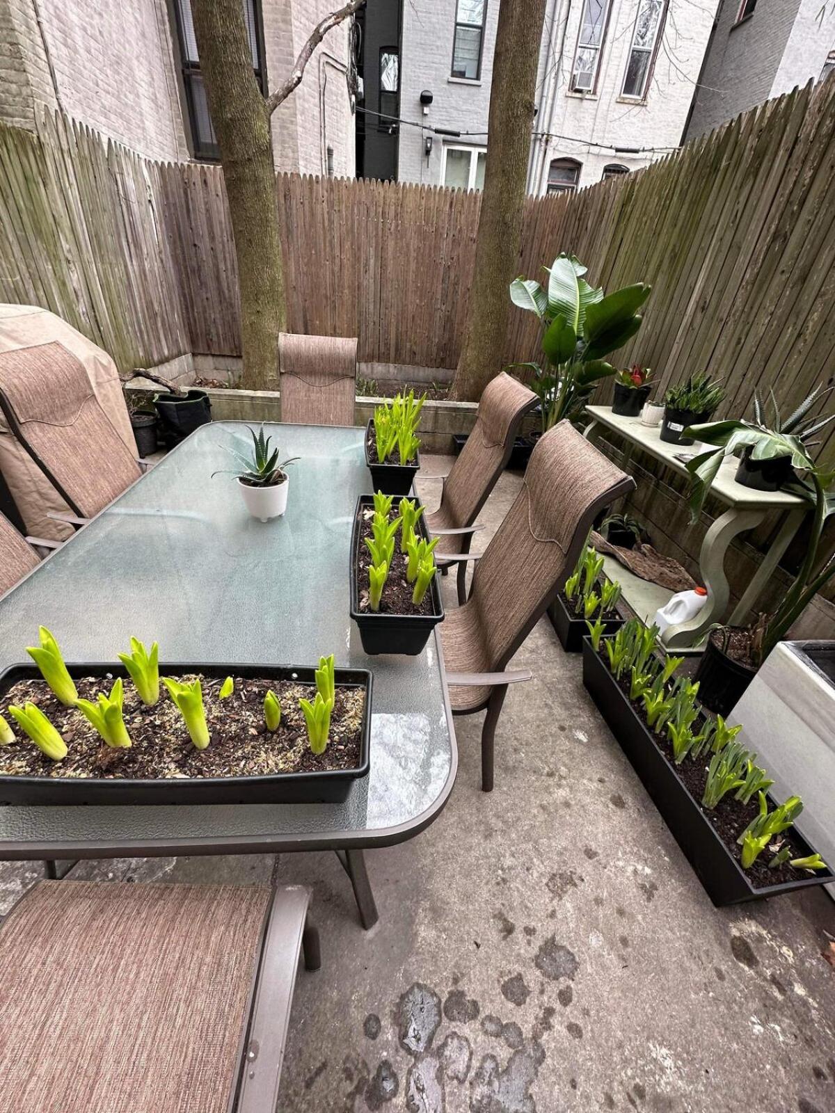 Private Bedroom And Private Bath New York