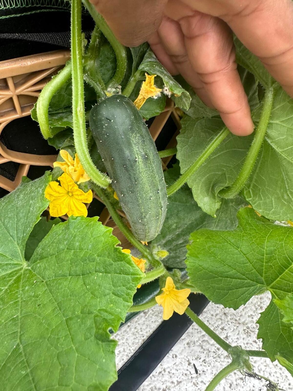 Private Bedroom And Private Bath