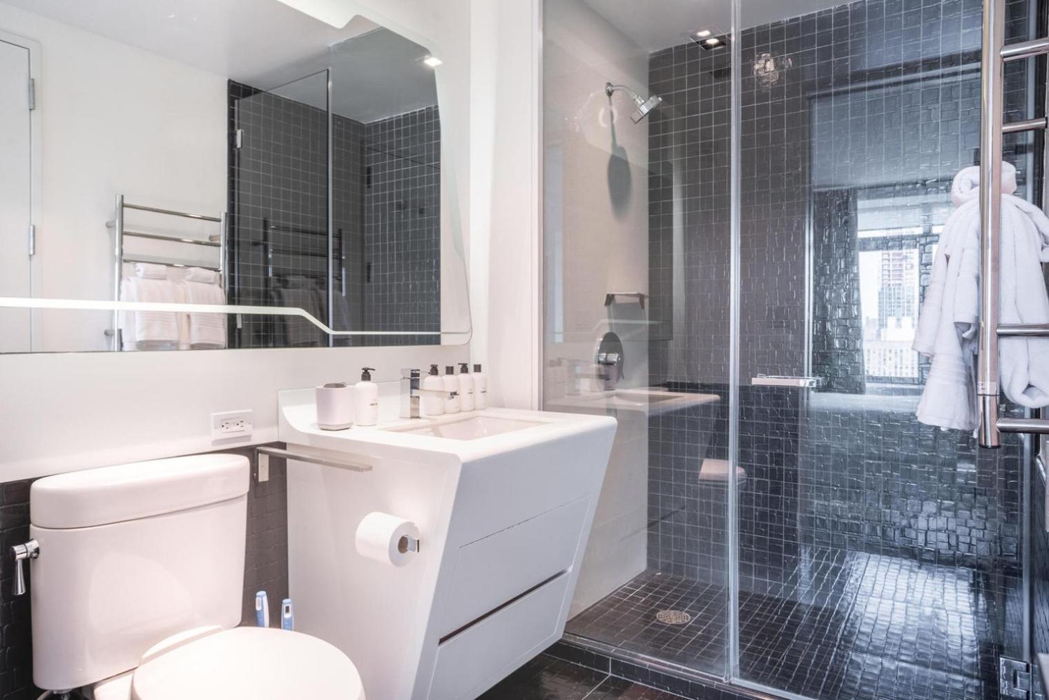 Financial District 1br W Wd Gym Elevator Nyc-1364 Apartment