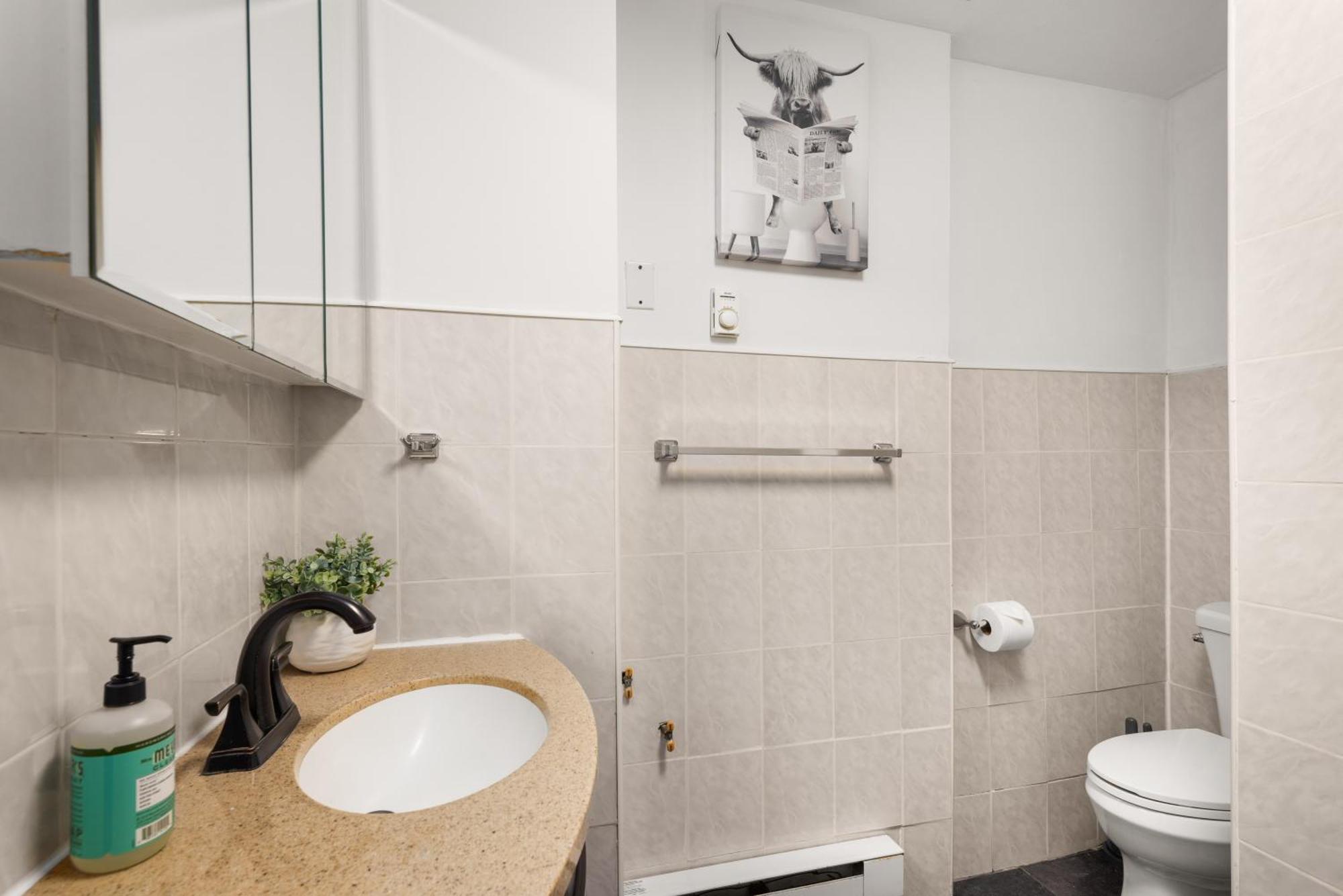 Beautifully Designed 3 Bdr In Dumbo Nyc Apartment