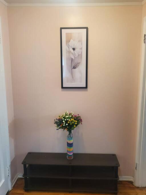 With Ayana In St Albans Apartment New York