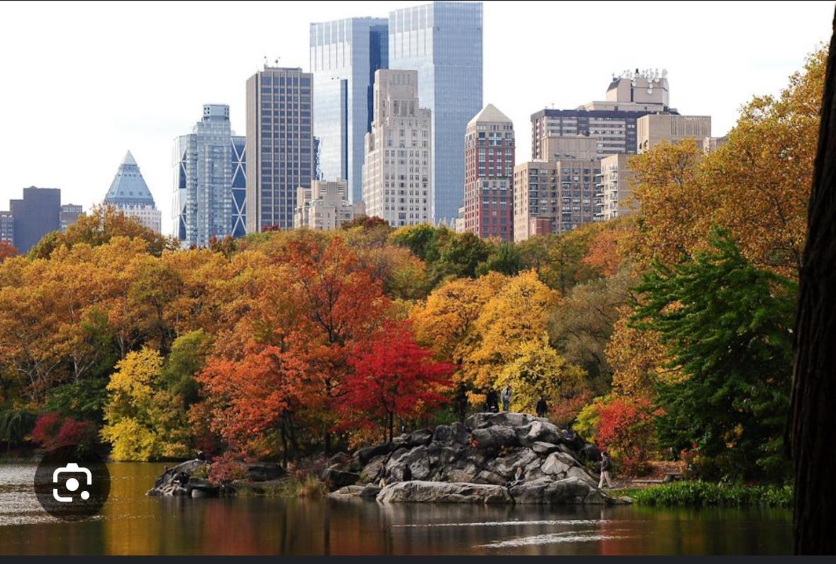 Apartment Nyc 5th Ave Park Penthouse Balcony 3bedroom Oasis New York