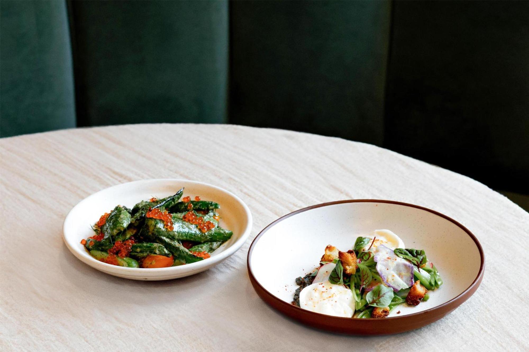 Arlo Williamsburg Hotel