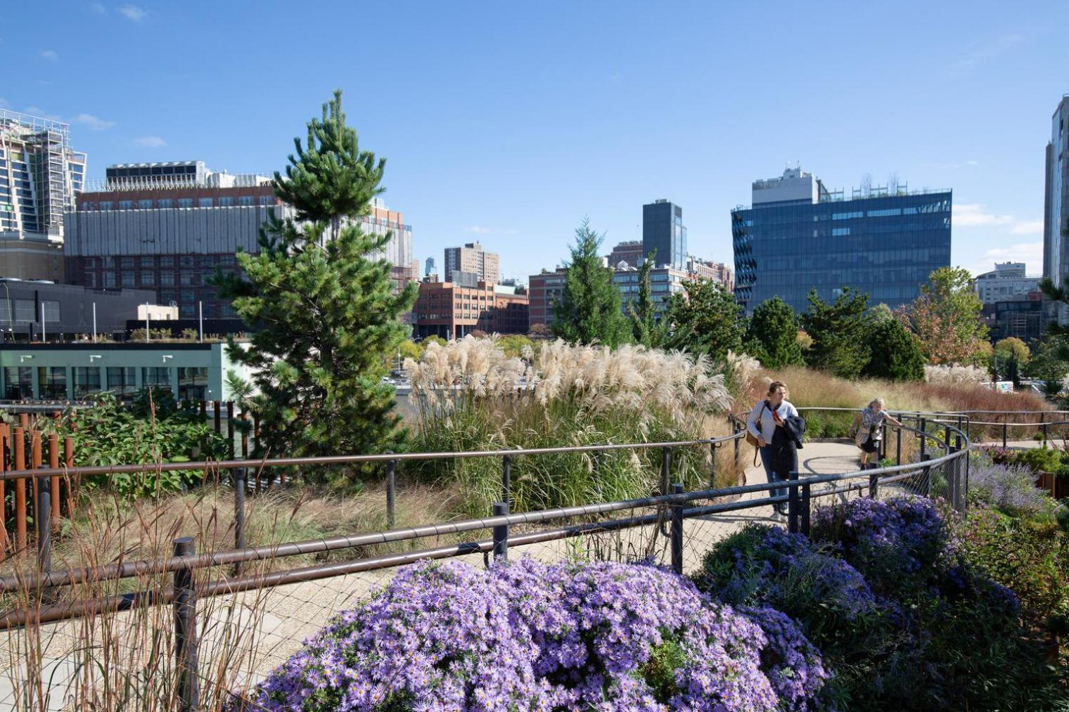 Apartment Blueground Chelsea Rooftop Nr The High Line Nyc-656 New York