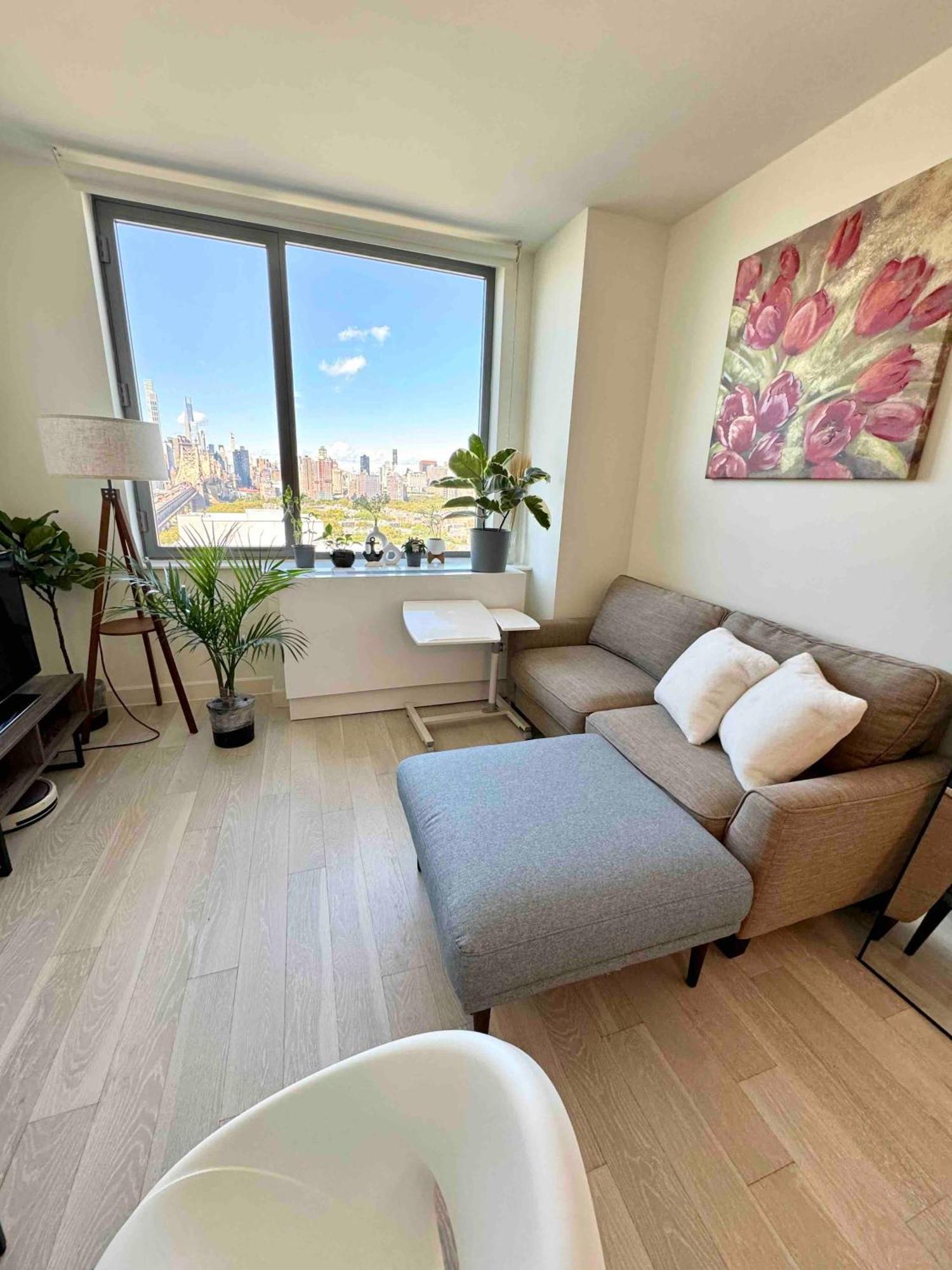 Beautiful Luxury Fantastic Manhattan Skyline View One Bedroom New York
