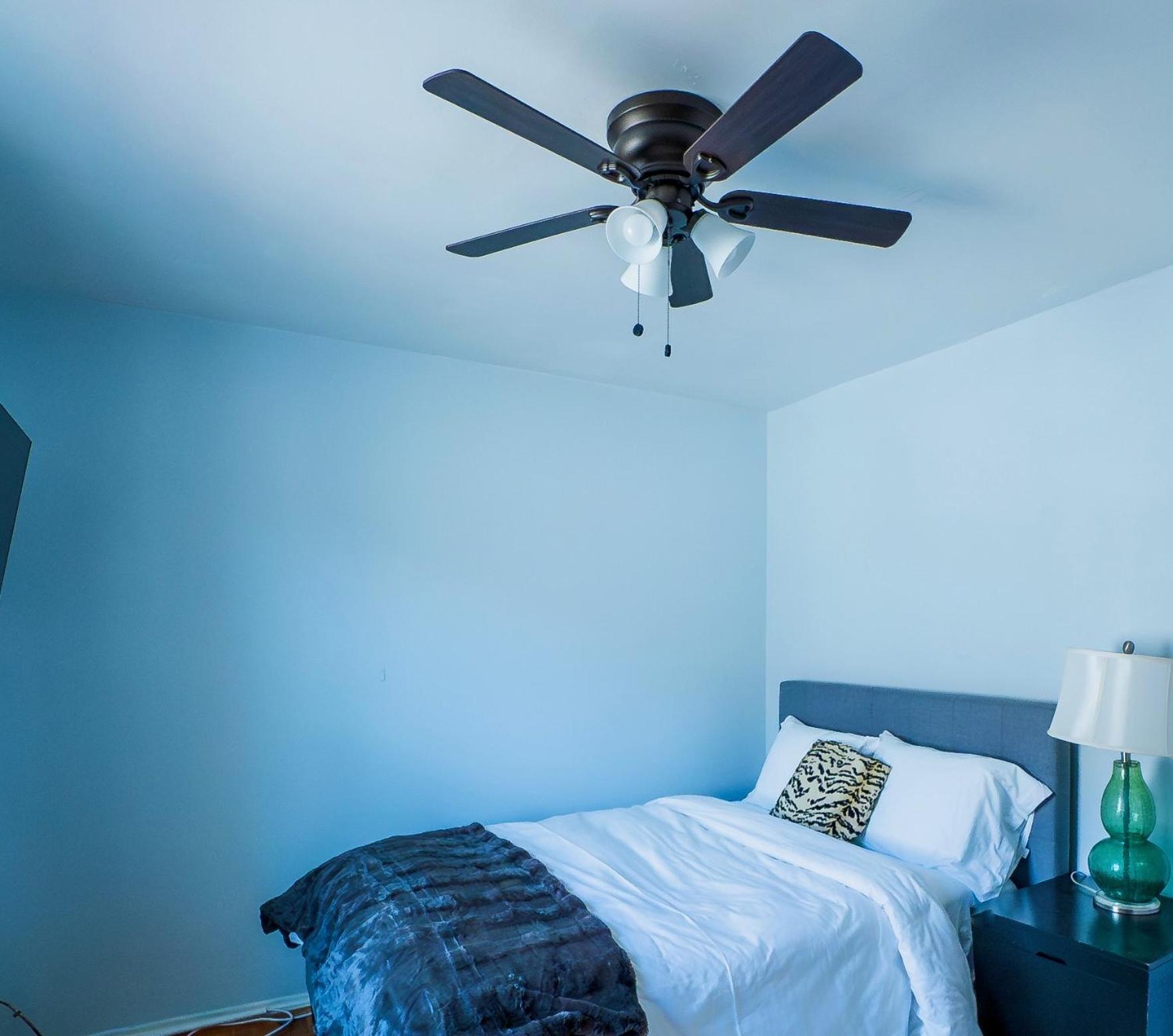 Abundant Seed Homestay