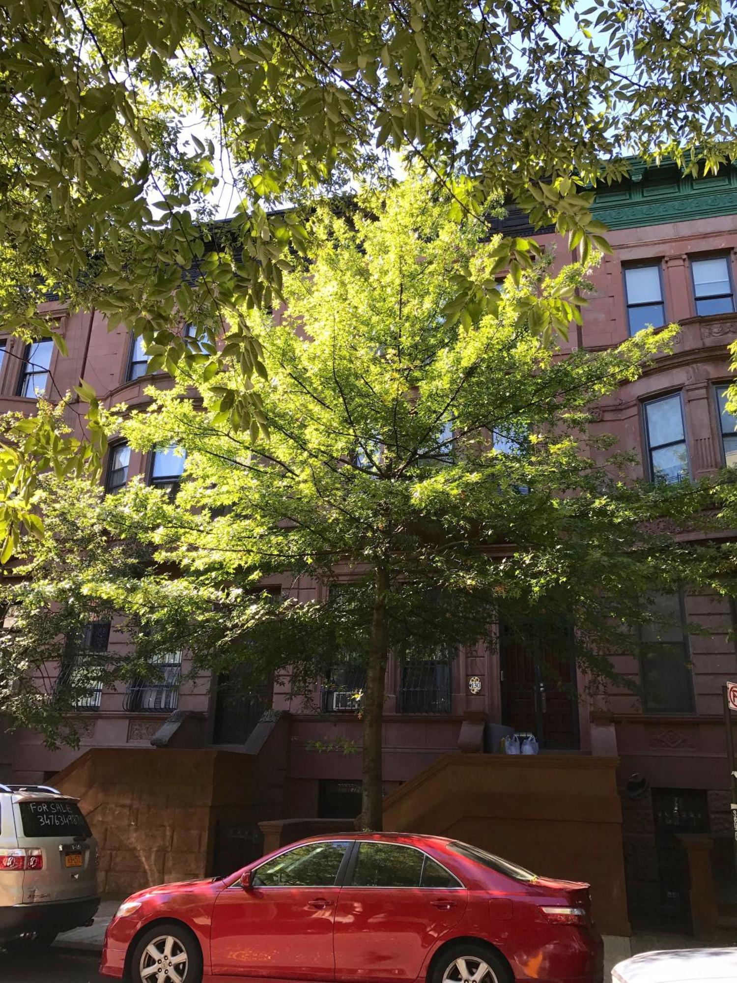 Appartement Private Spacious With 2 Bedrooms 2 Bathroomss And A Deck *