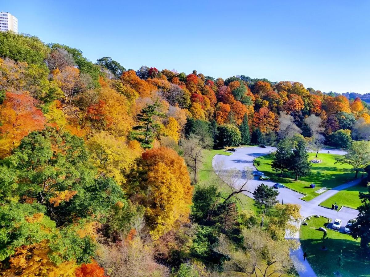 Modern Oasis With High End Amenities