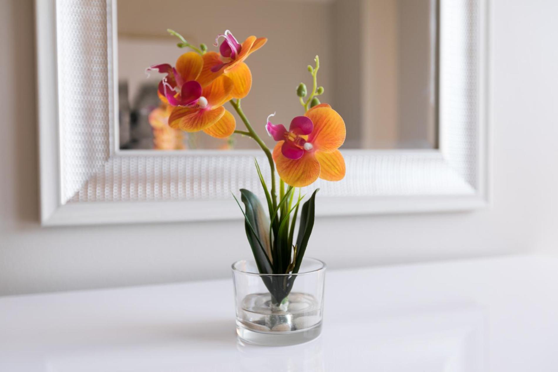 Apartment Finest Luxury 1 Bedroom