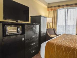 Comfort & Laguardia Airport New York