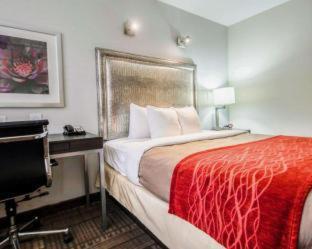 Times Square West Hotel, Bw Signature Collection 3* New York