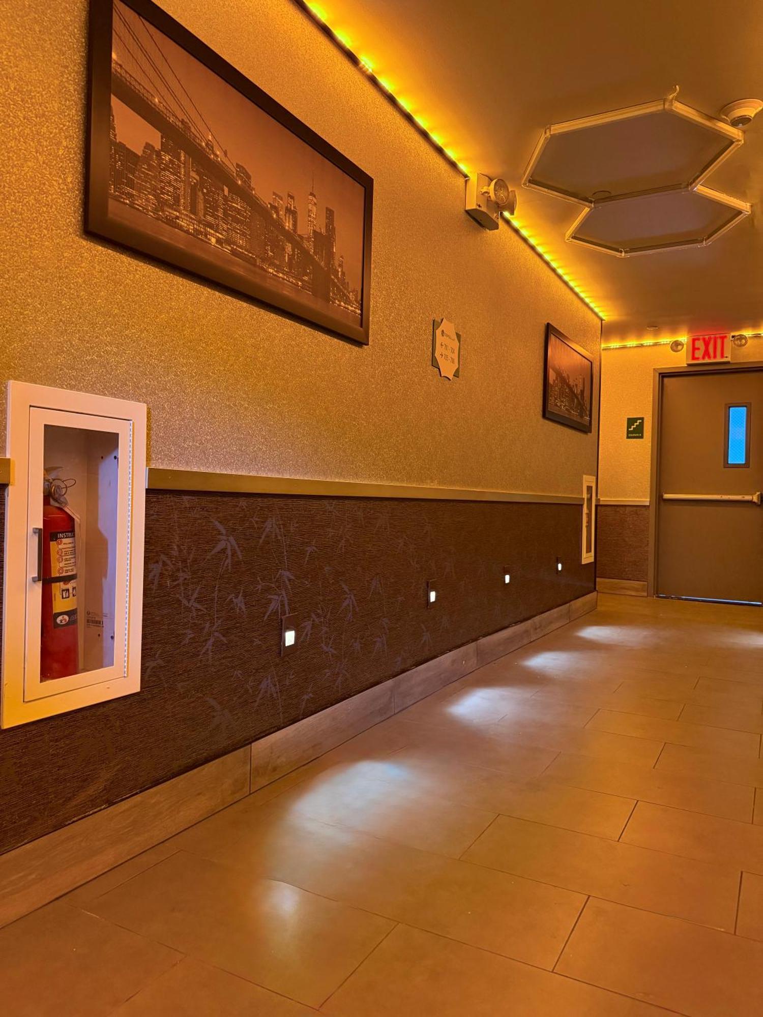 Umbrella Bronx New York