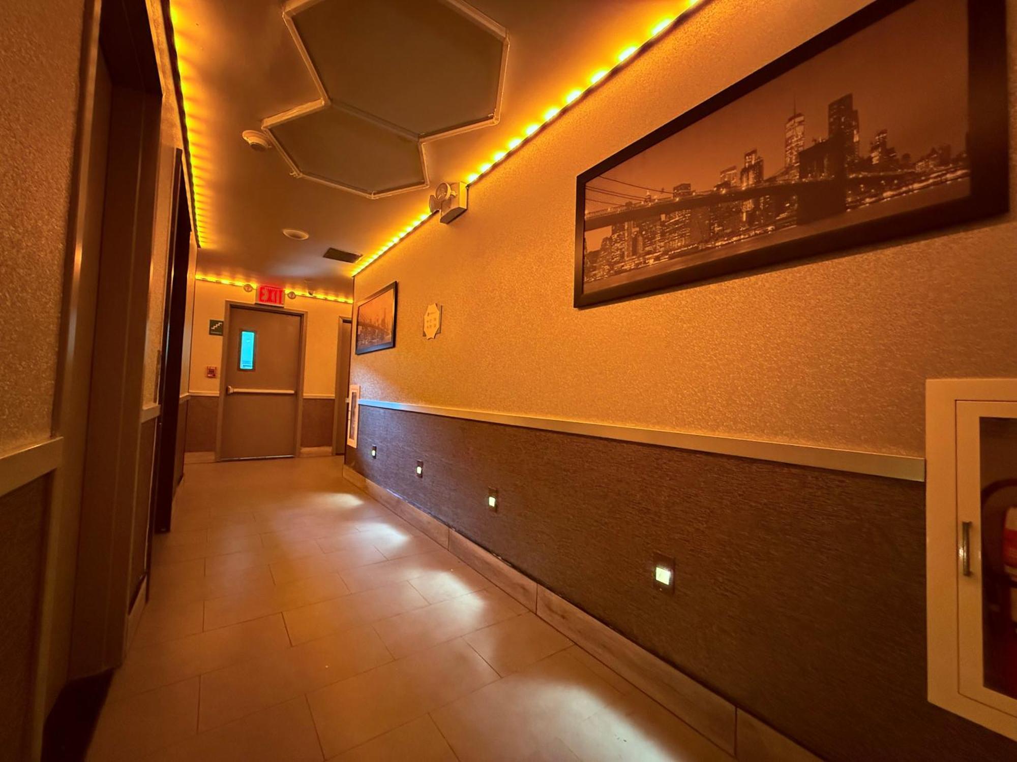 Umbrella Bronx New York