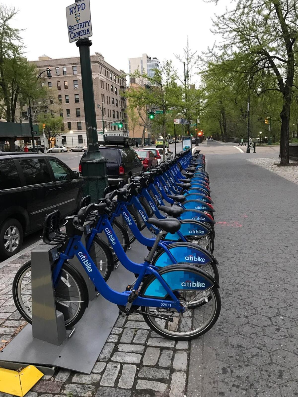 Park North Spacious Apartment