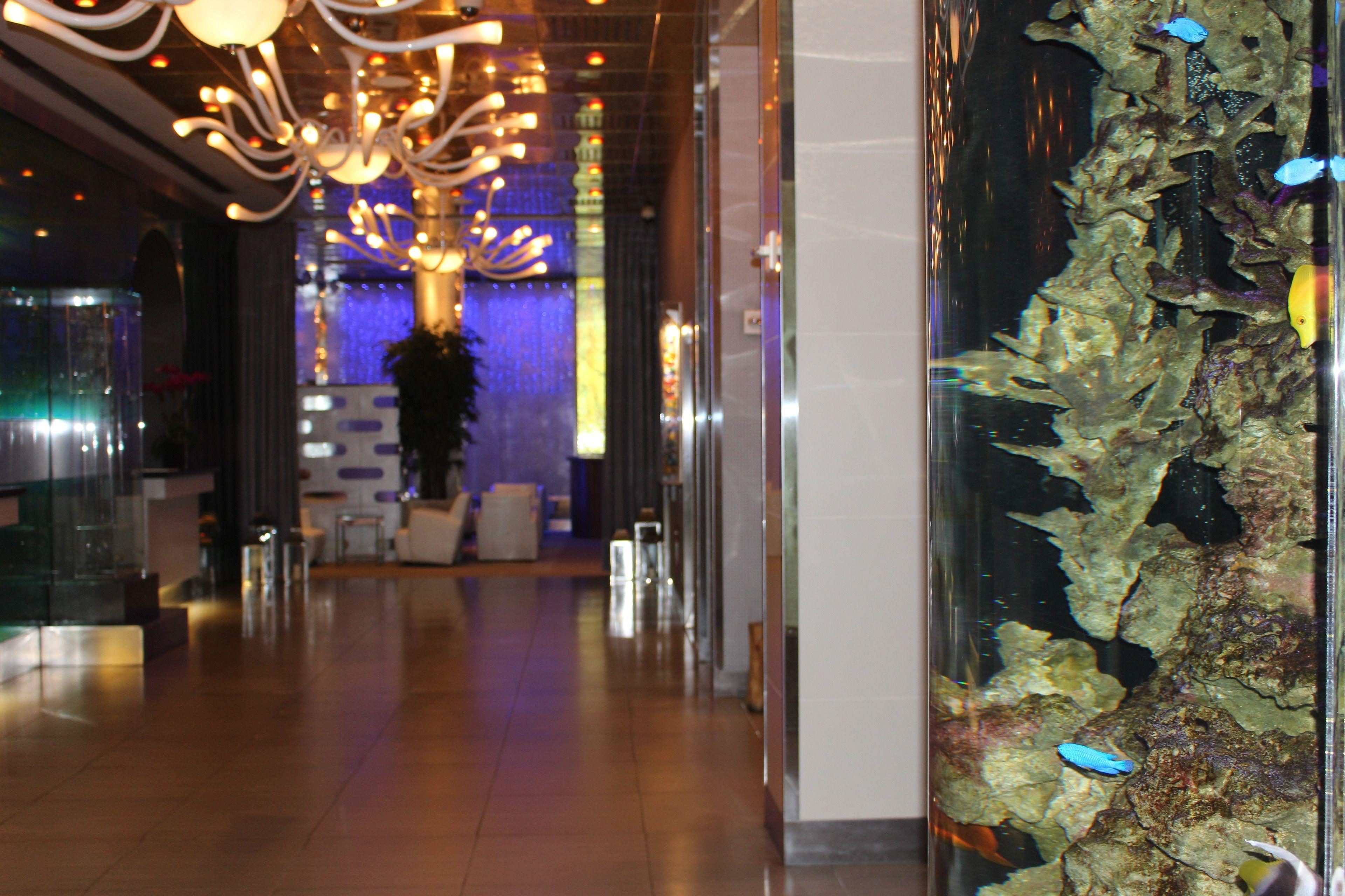 Oyo Times Square Hotel
