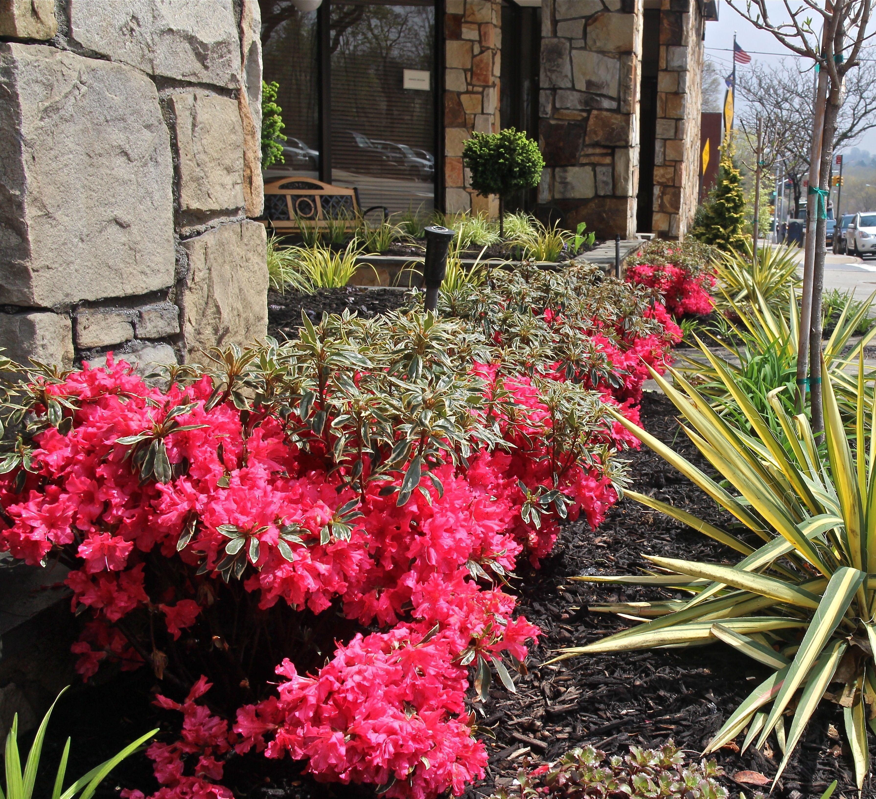 Western Queens Gold Coast Hotel