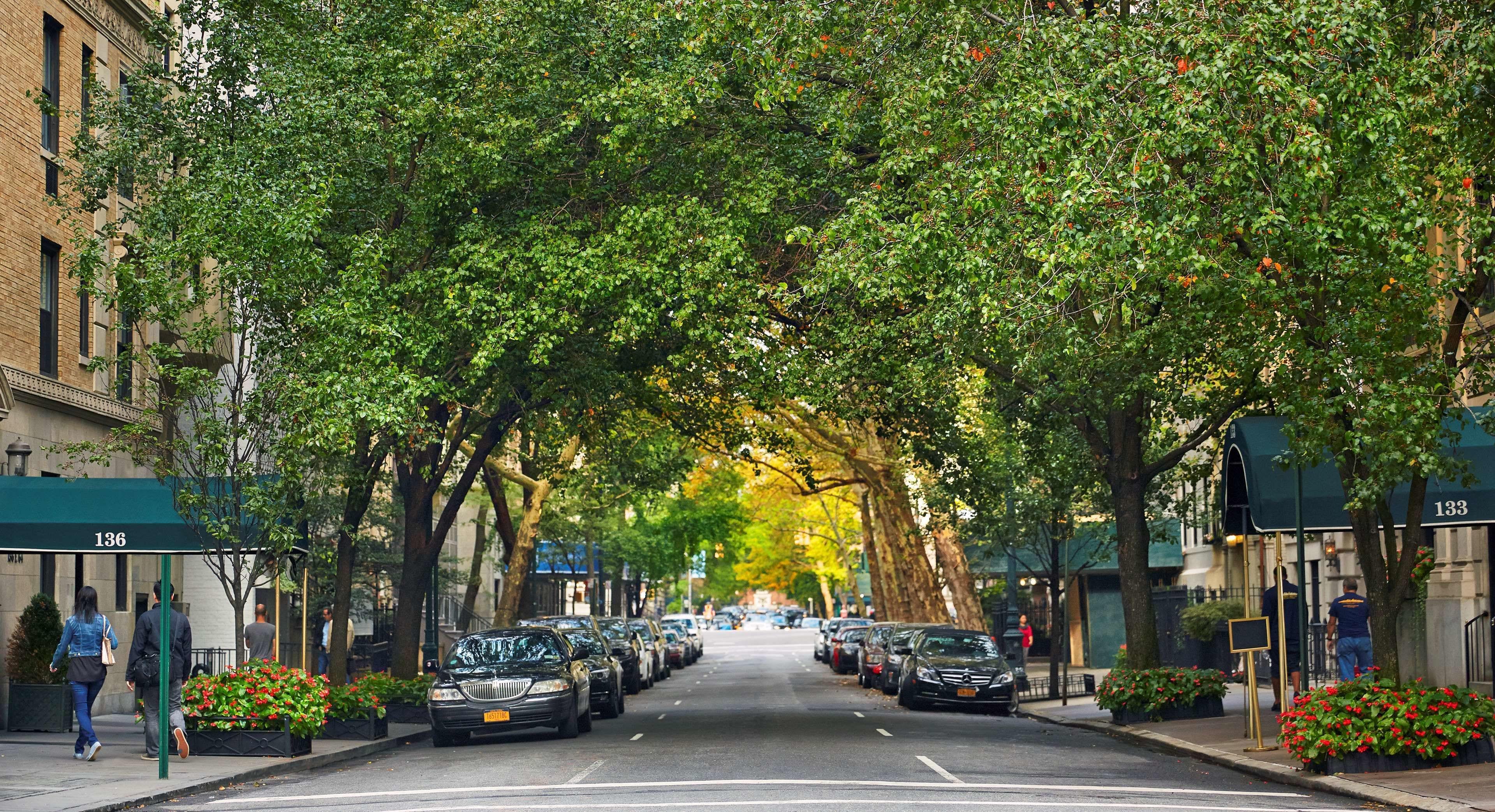 The Gardens Sonesta Es Hotel New York