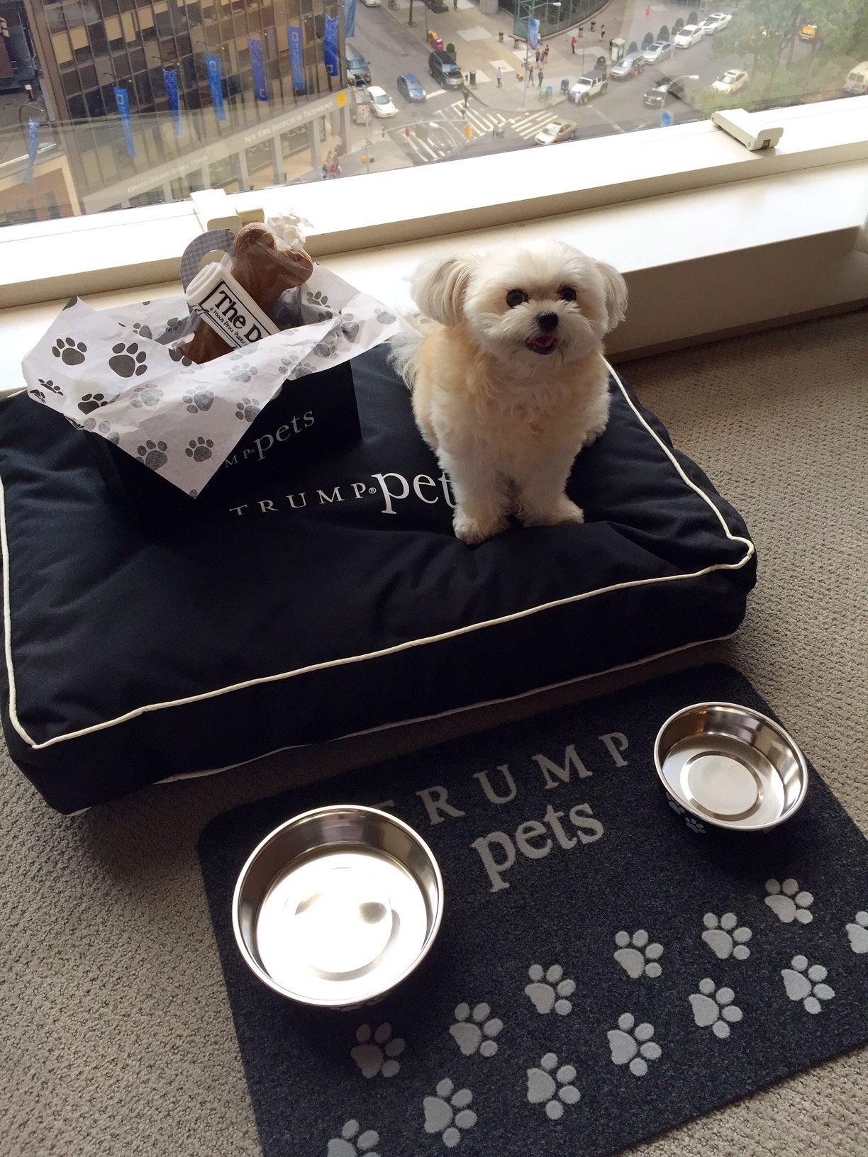 Hotel Trump International