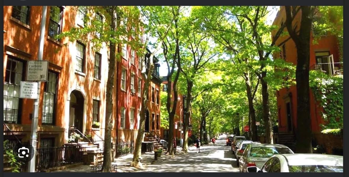 Beauty In The Heart Of The Village * New York