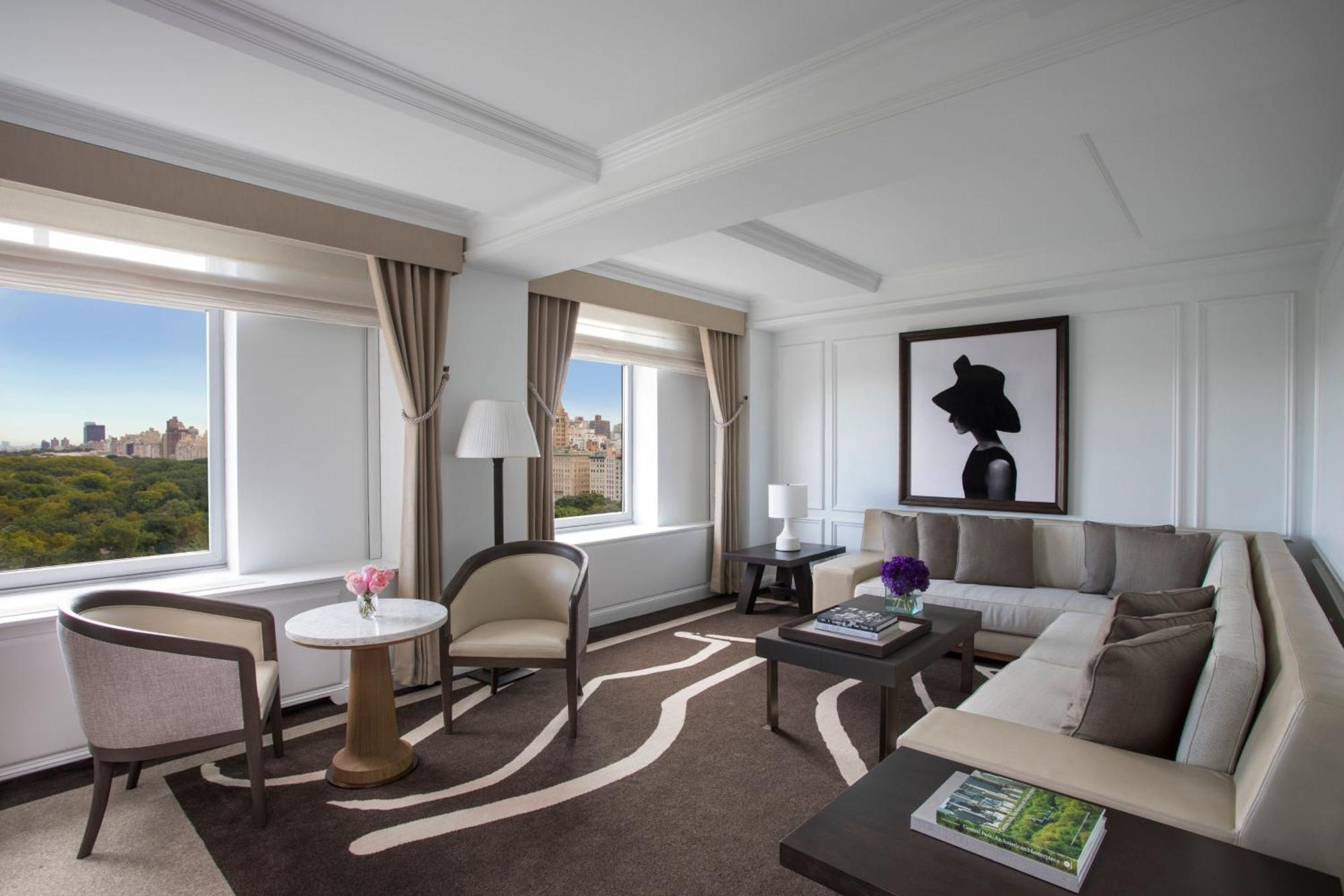 Hotel The Ritz-carlton New York, Park New York