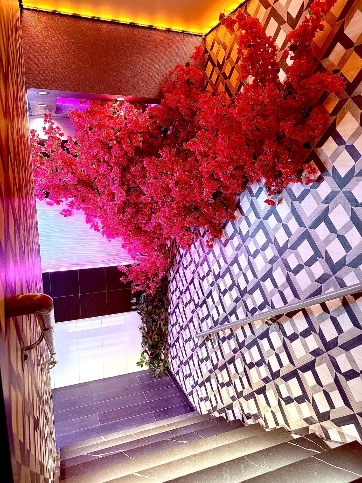 Hotel Umbrella Bronx *