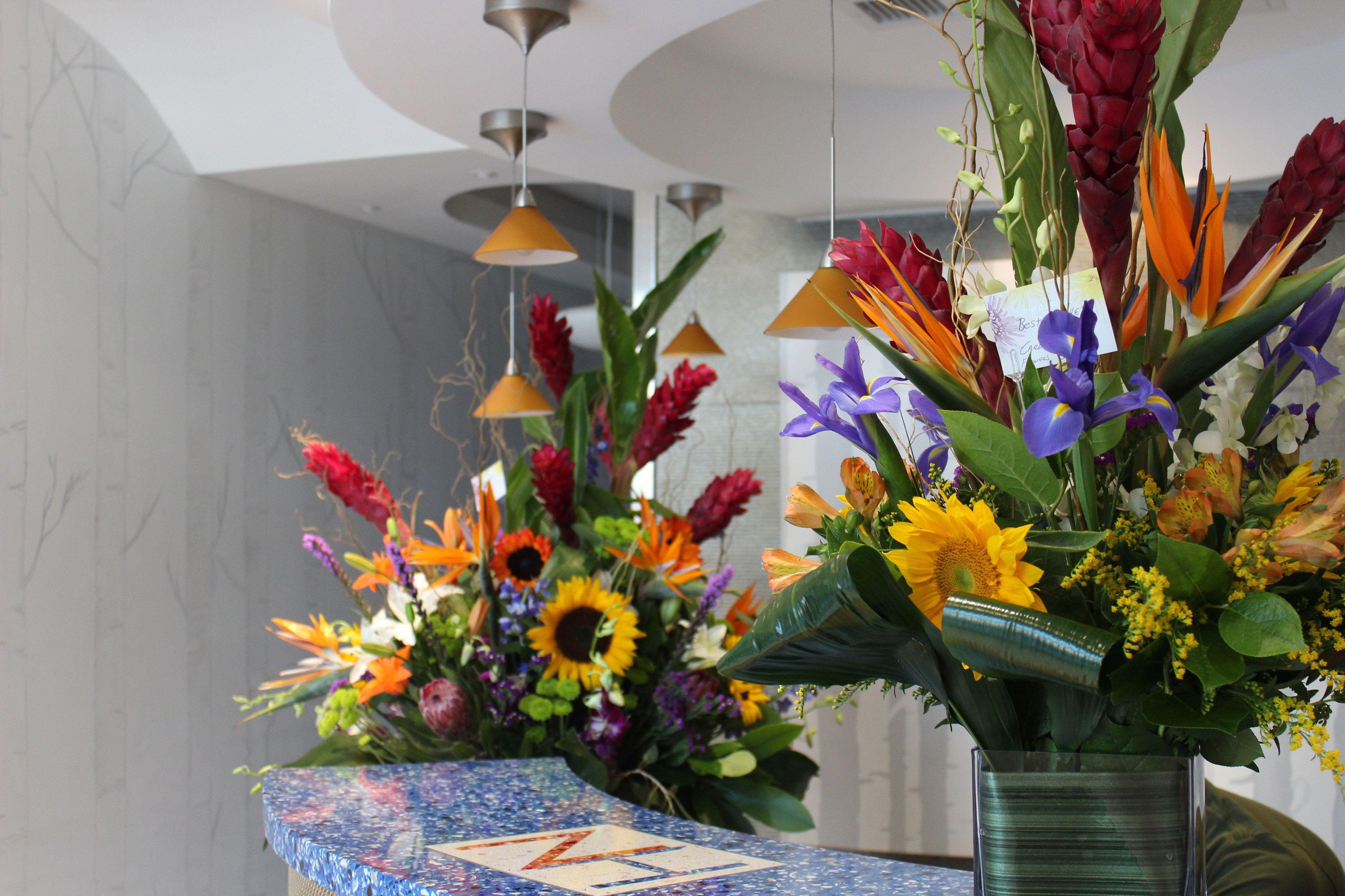 Nesva - Vista (adults Only) 3* New York