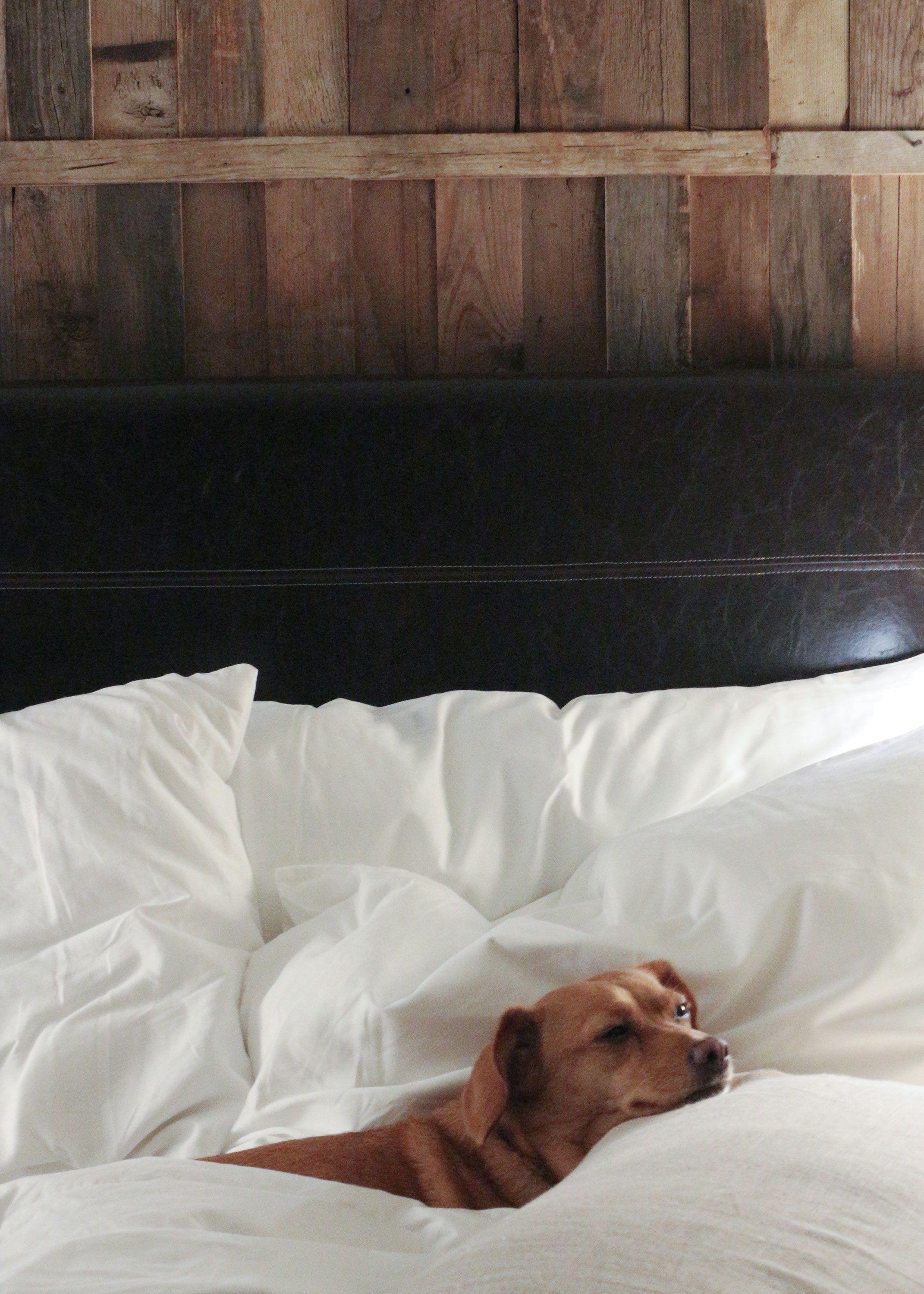 Hotel 1 Park 5*