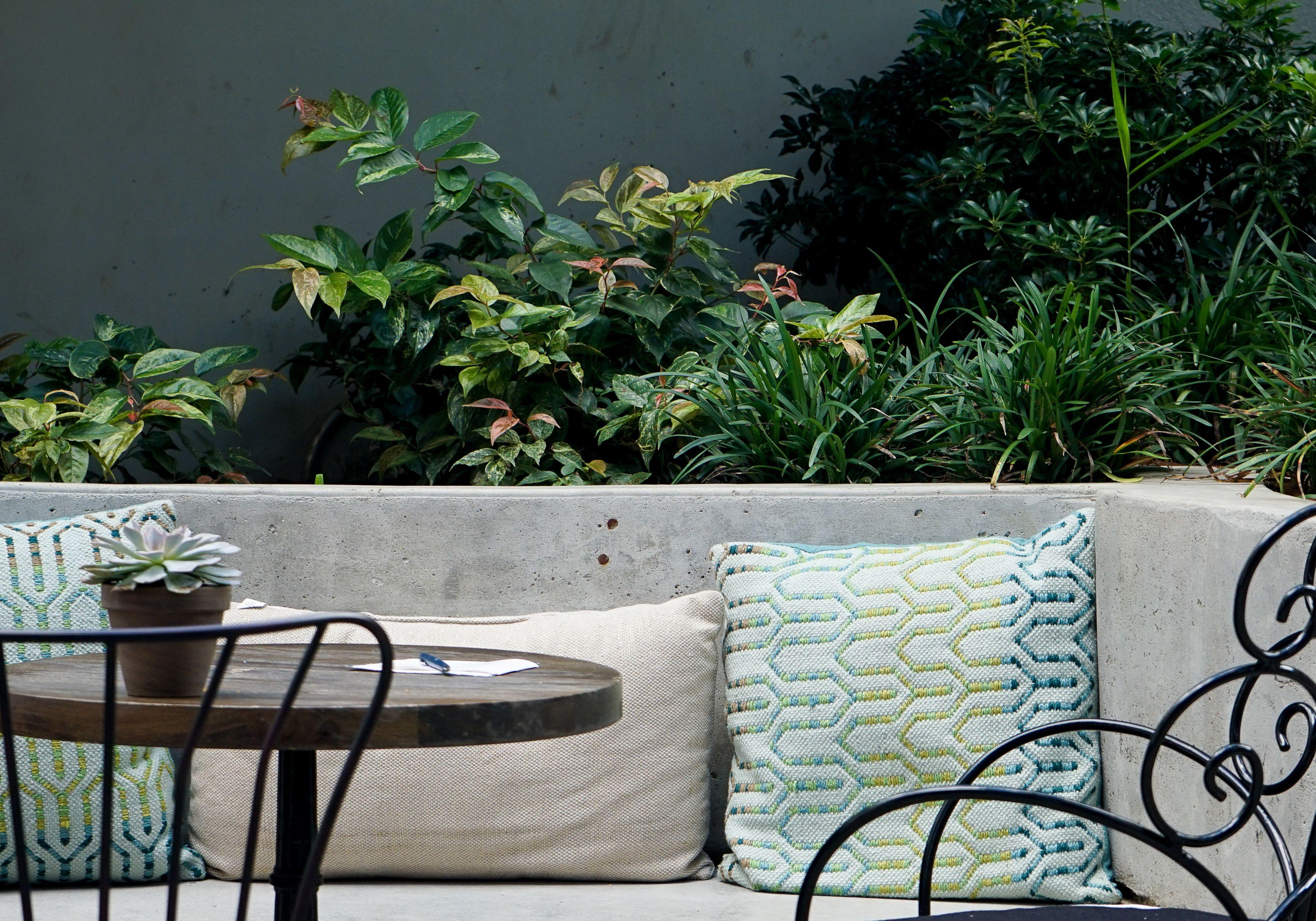 Arlo Williamsburg 5*