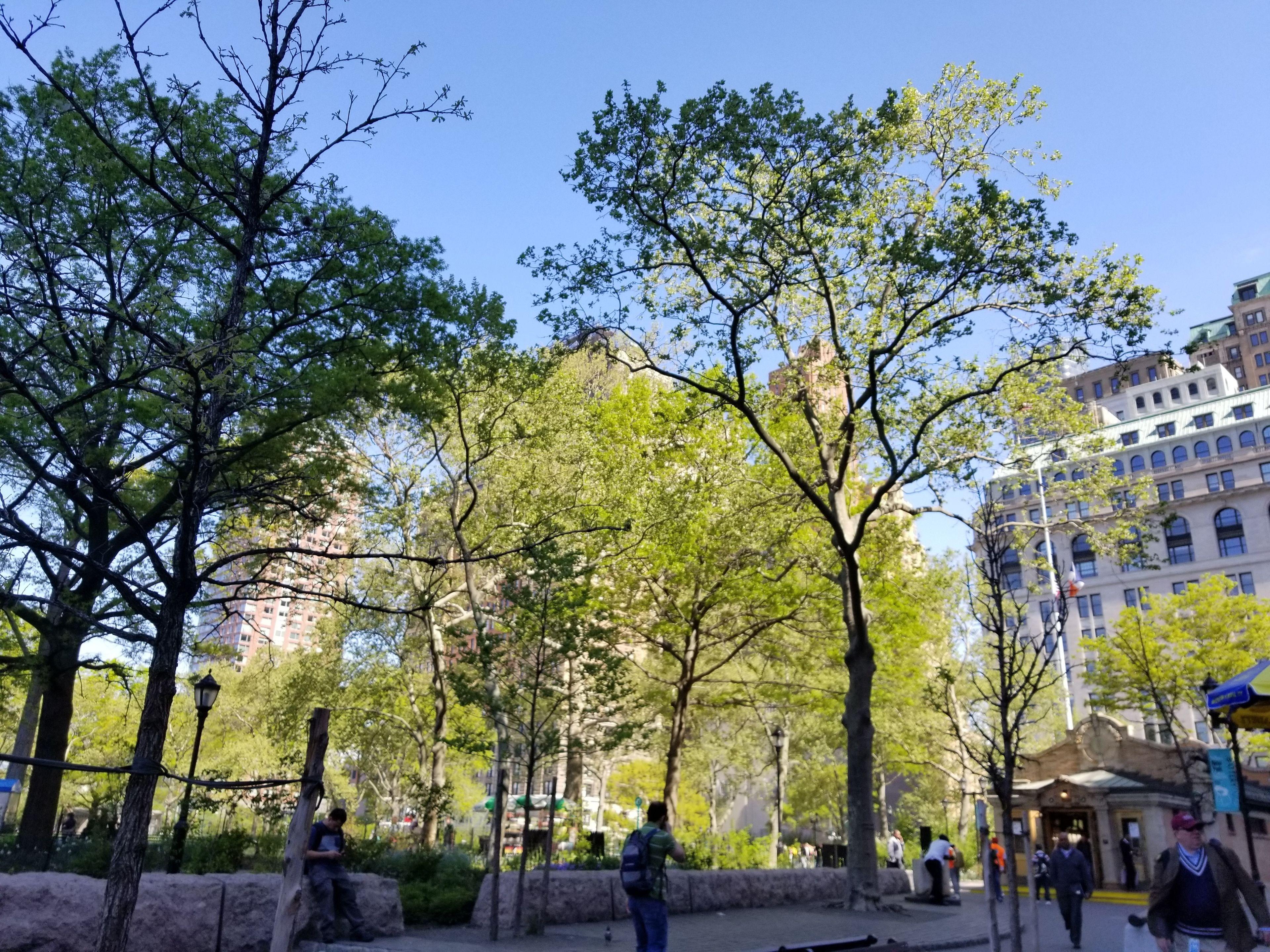 Hotel Hilton Garden Nyc Financial Center/manhattan Downtown