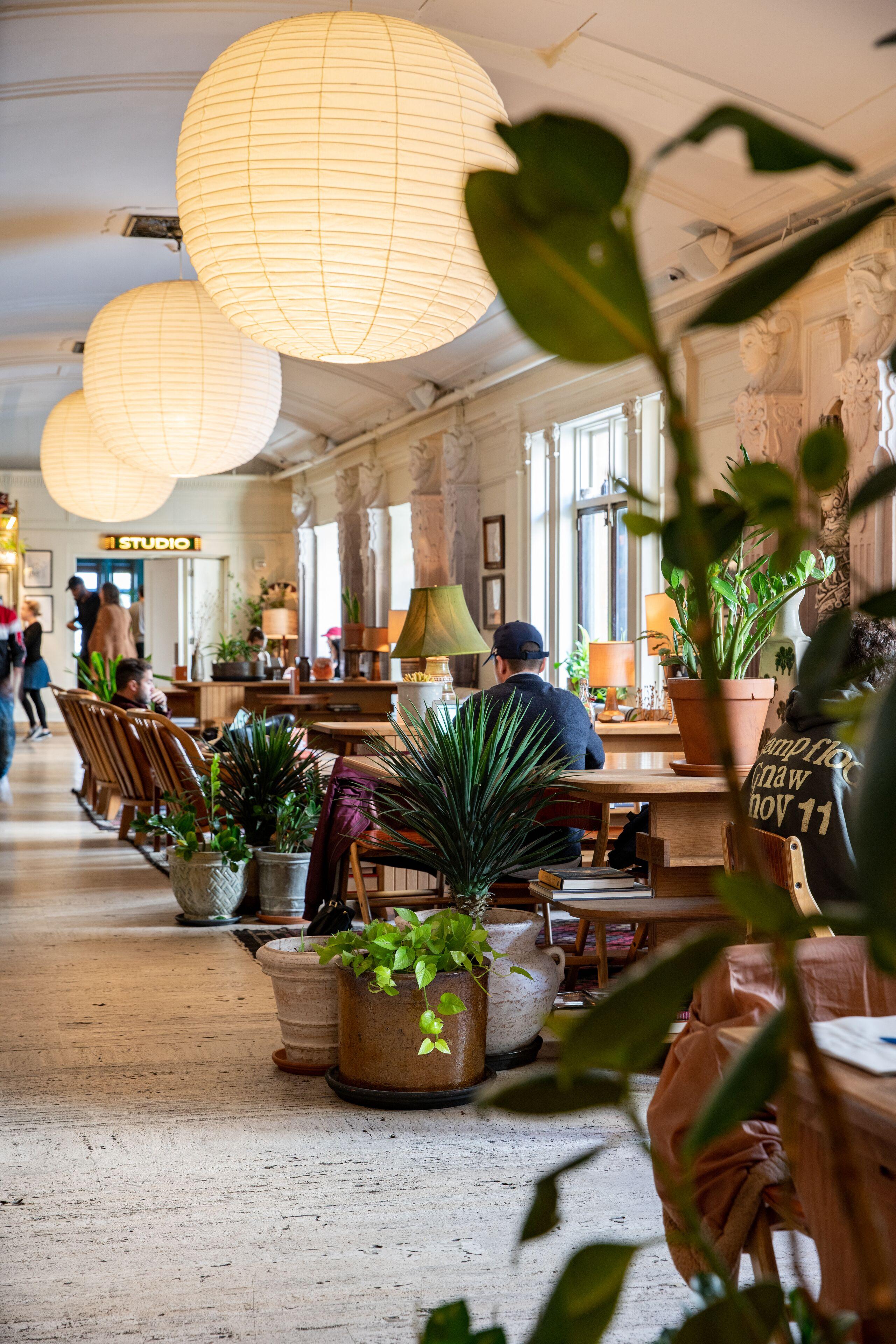 Freehand 4* New York