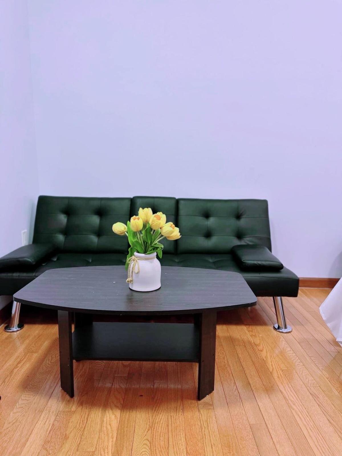 Apartment Amazing Private New York