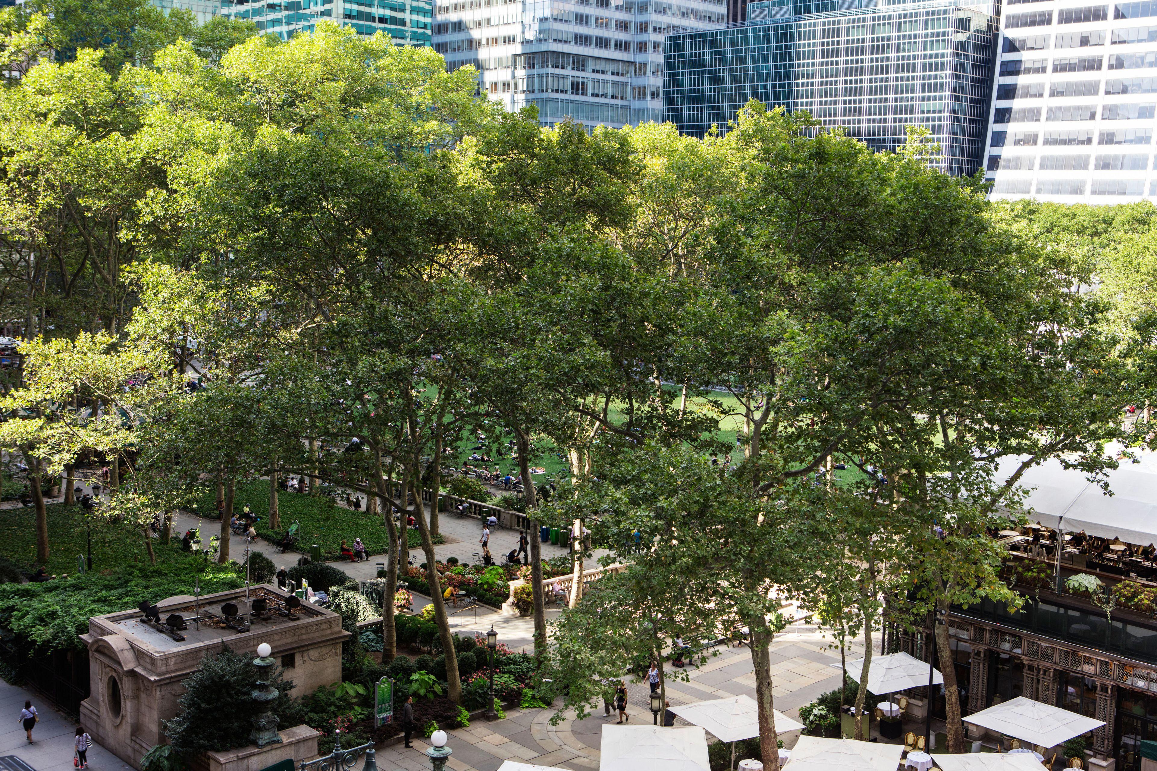 Park Terrace New York