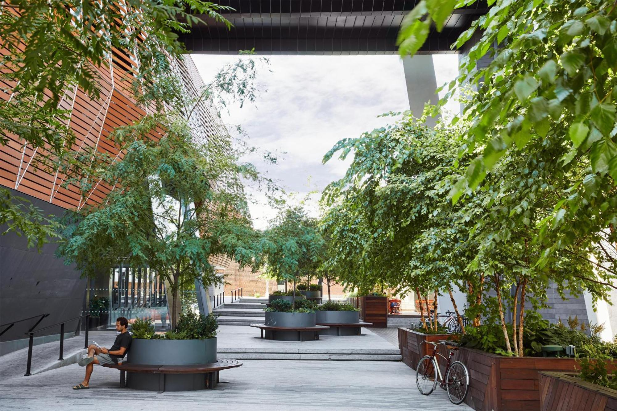 The William Vale New York