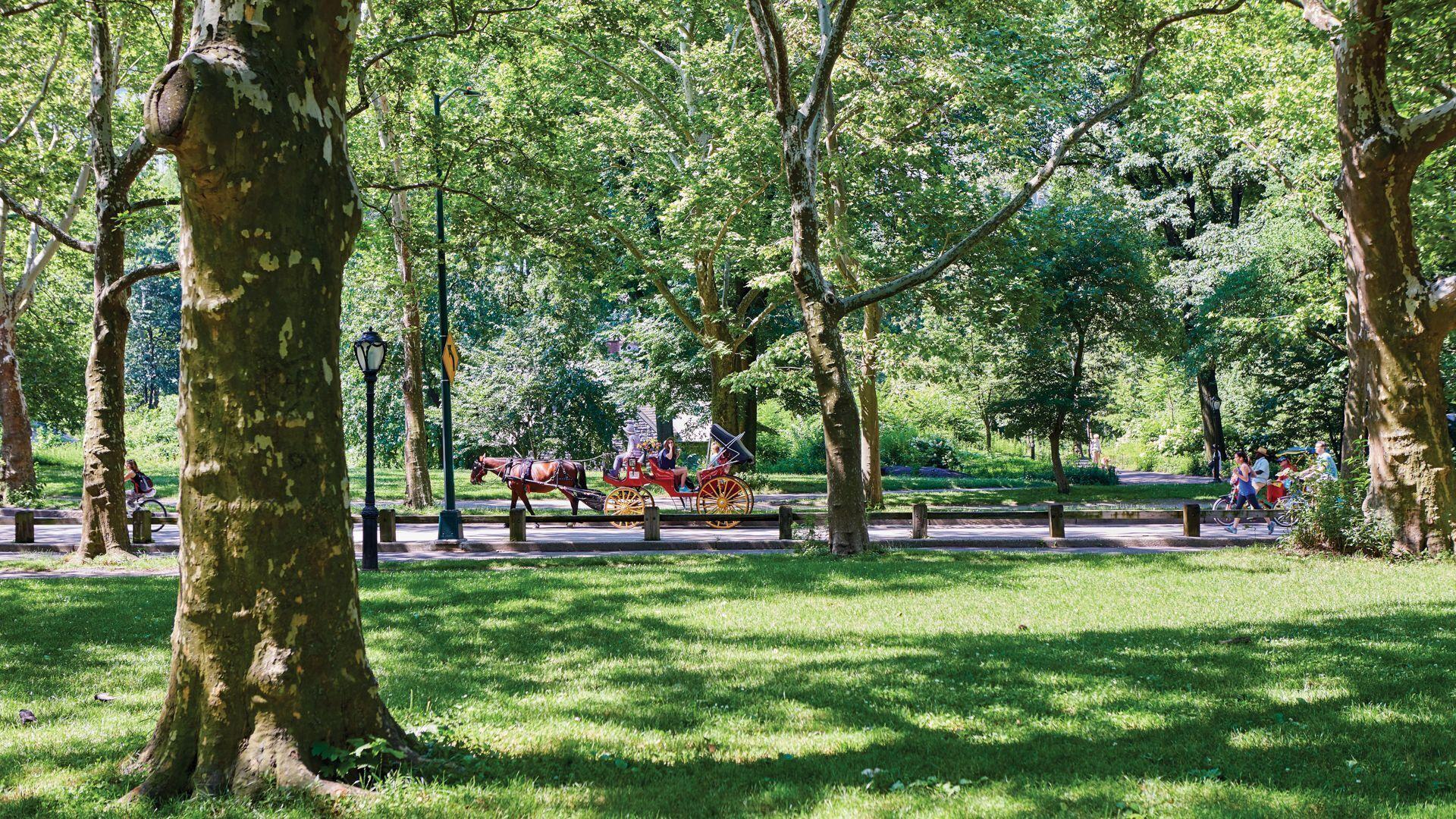 5th & 55th Club Hotel