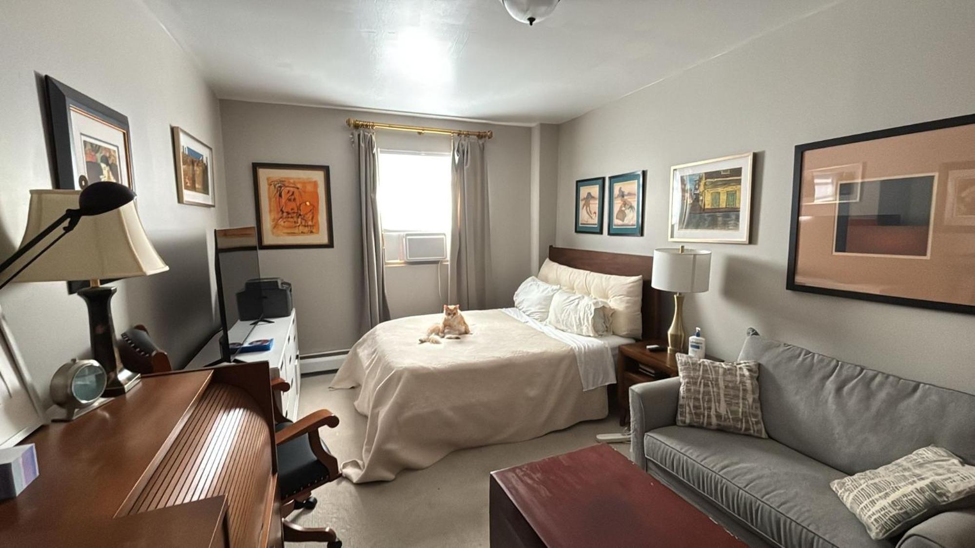 Cozy Brooklyn Home, Private In Host Shared * New York