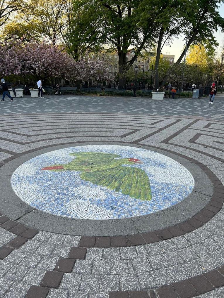 Cozy Brooklyn Home, Private In Host Shared Homestay