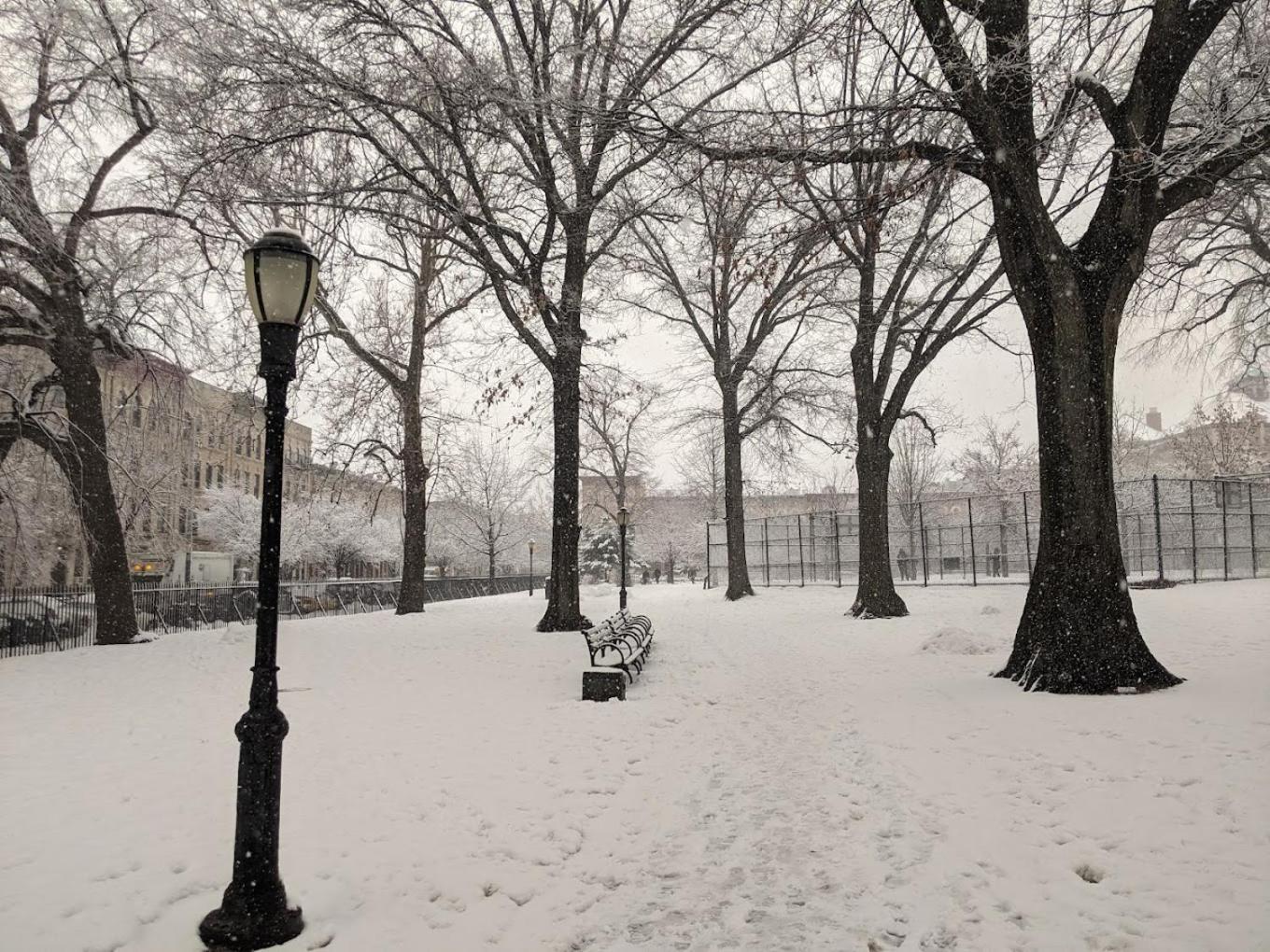 Cozy Brooklyn Home, Private In Host Shared New York