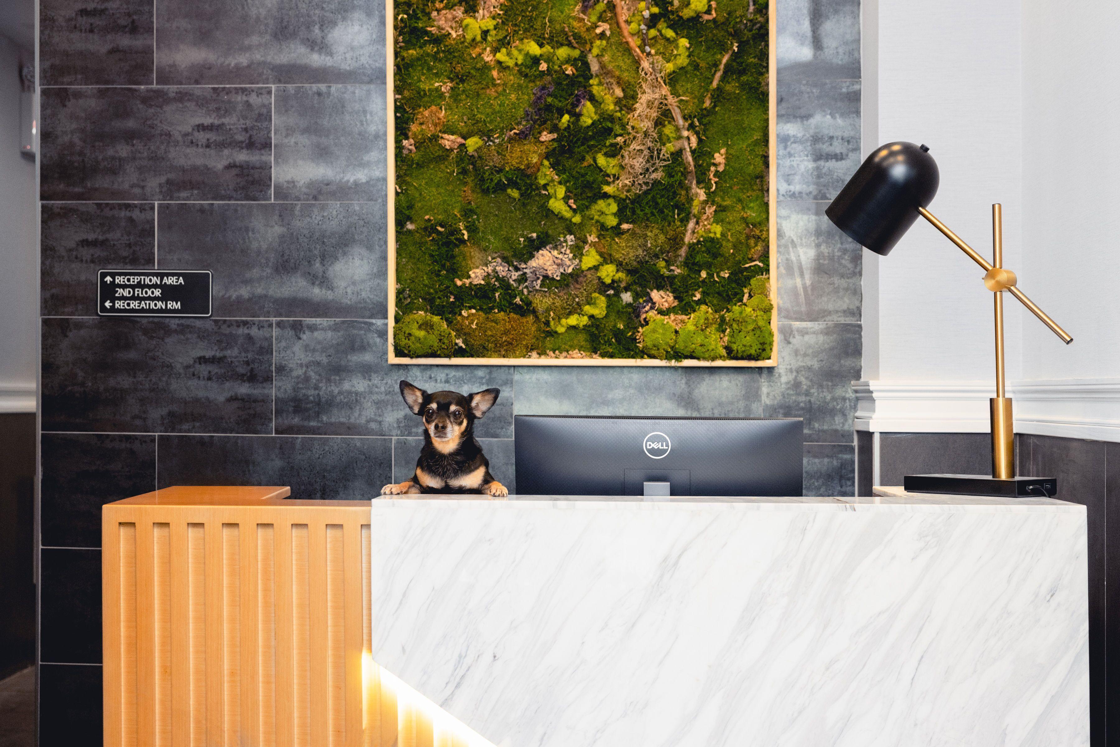 The Modernist New York