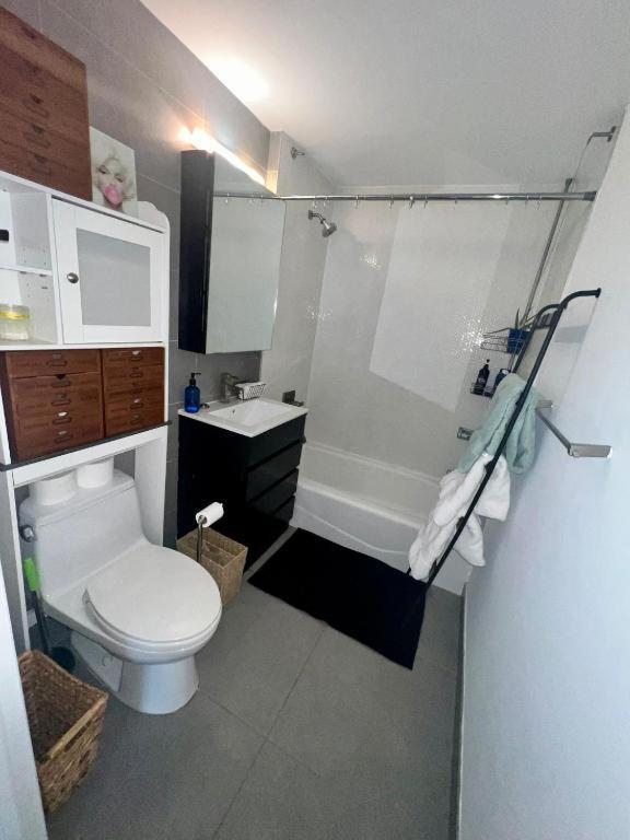 1 Bedroom With Sleeping In Living Williamburg Apartment