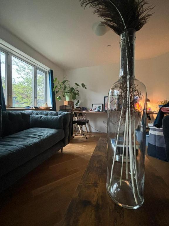 1 Bedroom With Sleeping In Living Williamburg Apartment