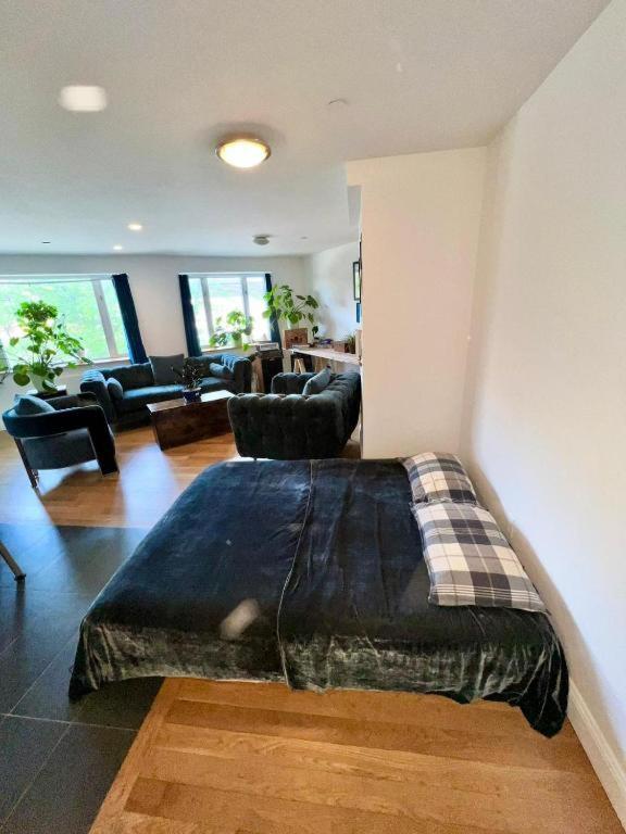 1 Bedroom With Sleeping In Living Williamburg Apartment New York