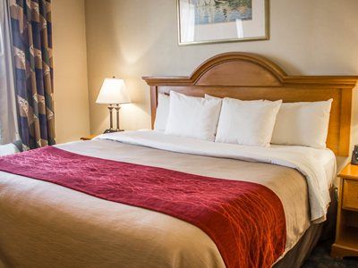 Hotel Comfort Jfk Airport 2*